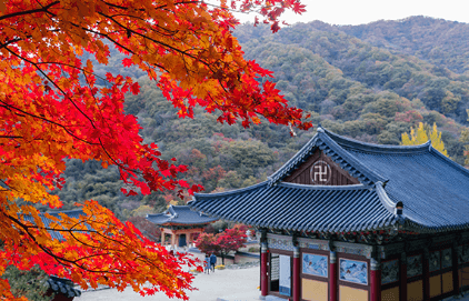 단풍축제 지리산 피아골