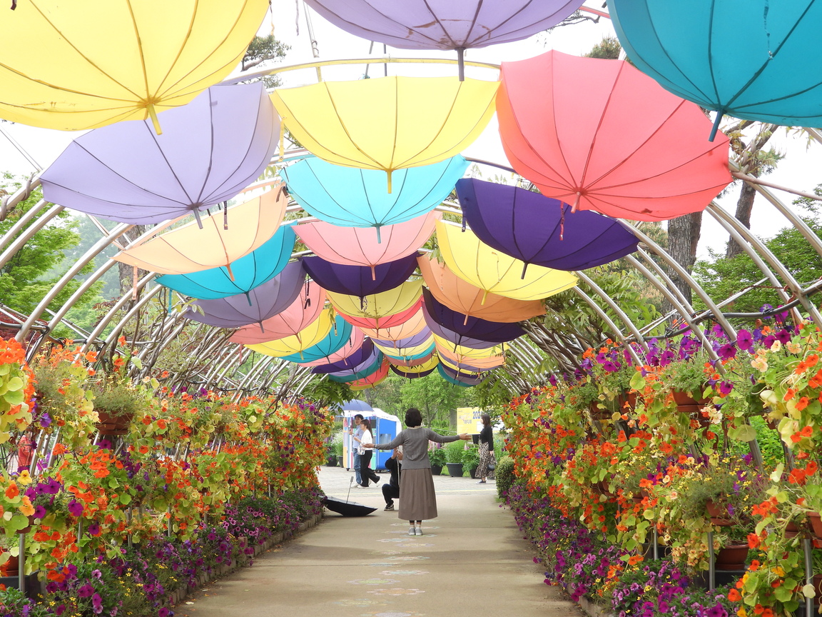 함평나비대축제 공연 초대가수 라인업