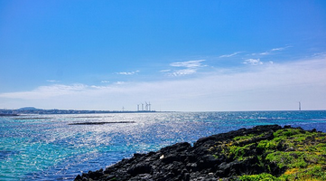 폭군의 셰프 1화 줄거리 요약 + 무료 다시보기