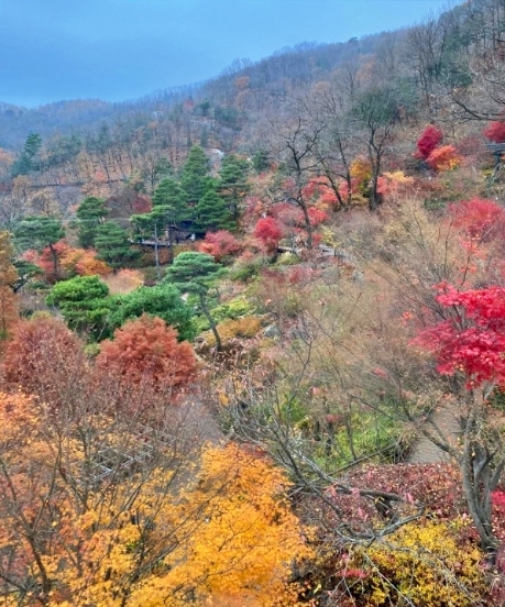 화담숲-모노레일