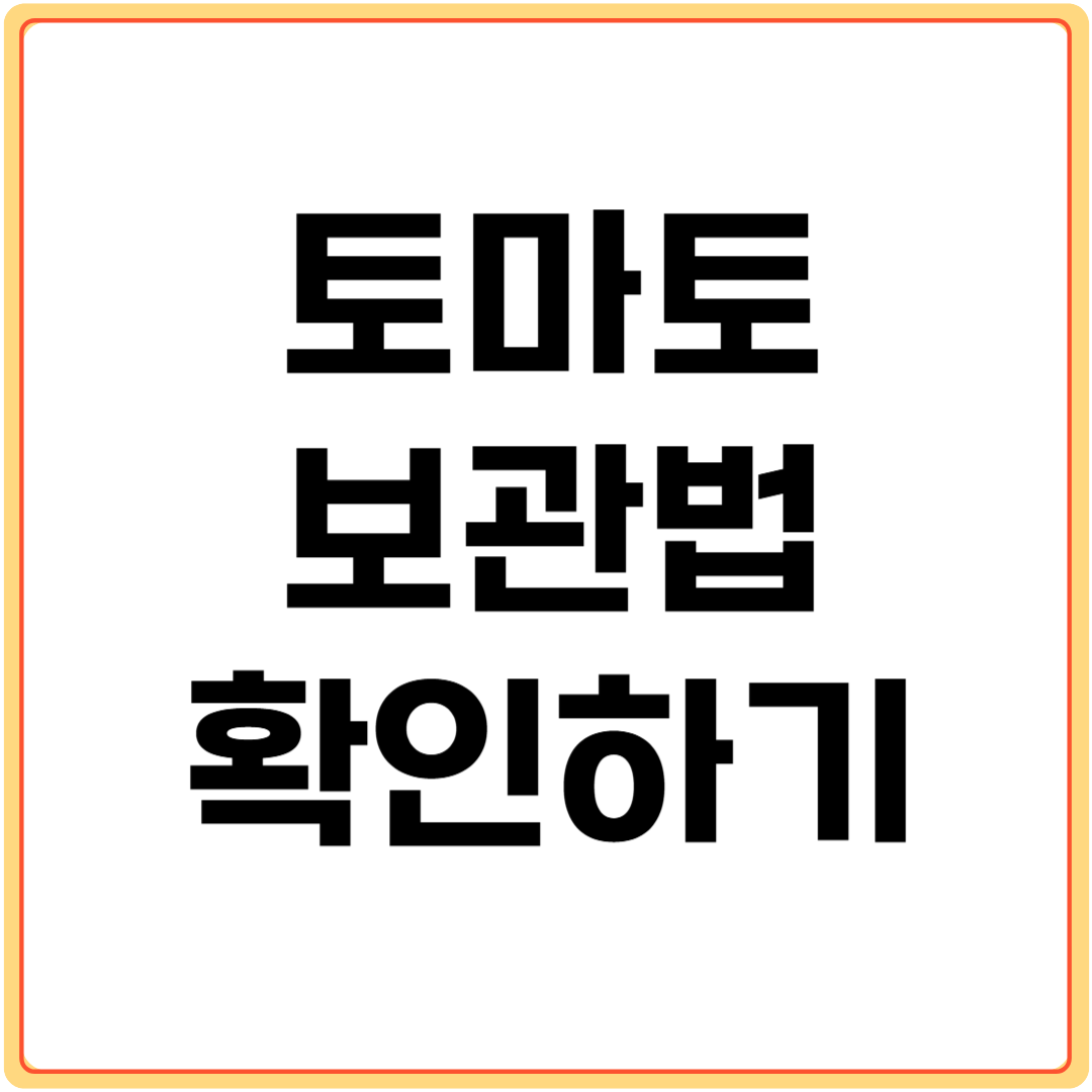 토마토-보관법-확인하기