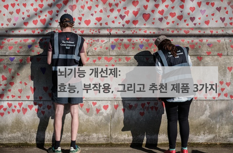 뇌기능 개선제: 효능, 부작용, 그리고 추천 제품 3가지