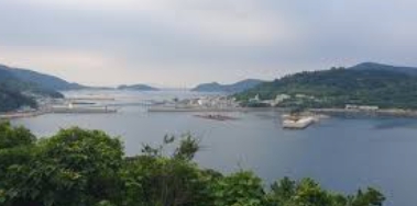 여수 거문도 배편 시간표