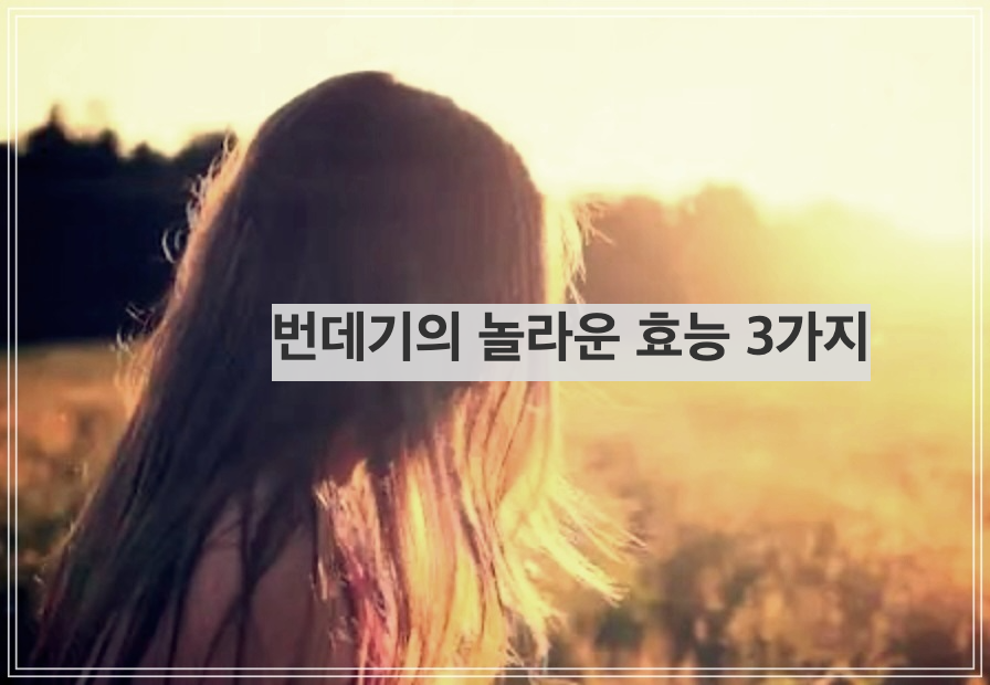 번데기의 놀라운 효능 3가지