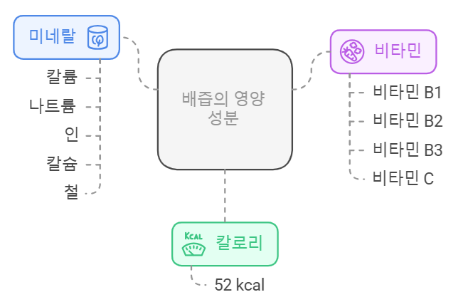 배즙의 영양 성분