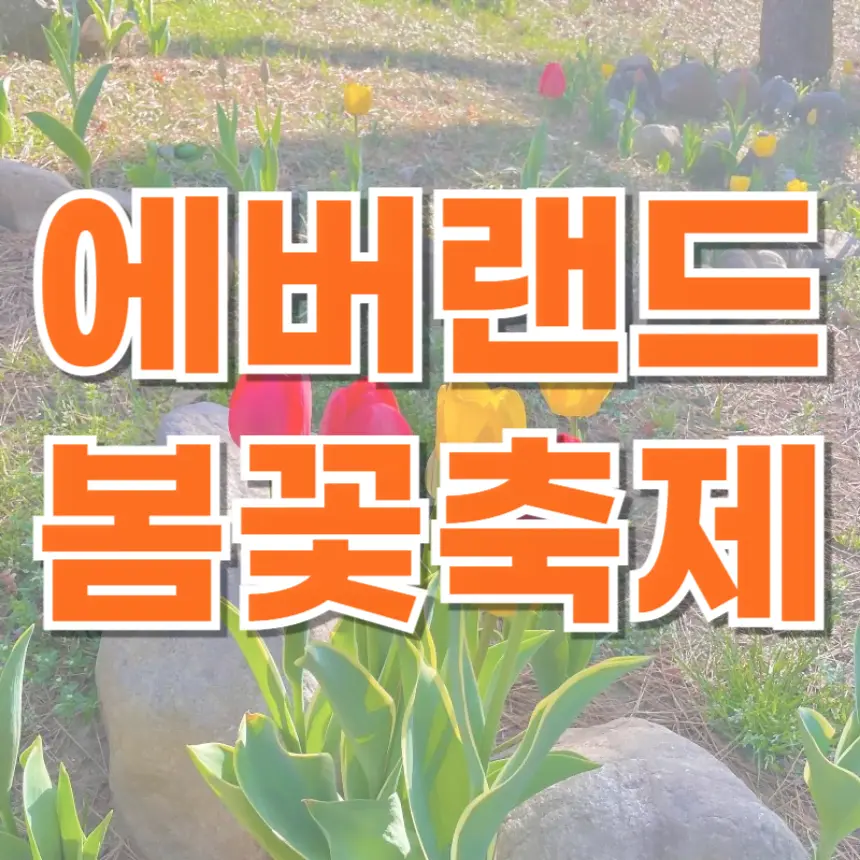 에버랜드 꽃 축제 인생샷찍기