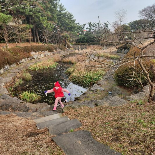 국립제주박물관 야외 연못