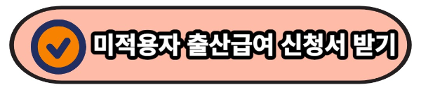 고용보험 미적용자 출산급여