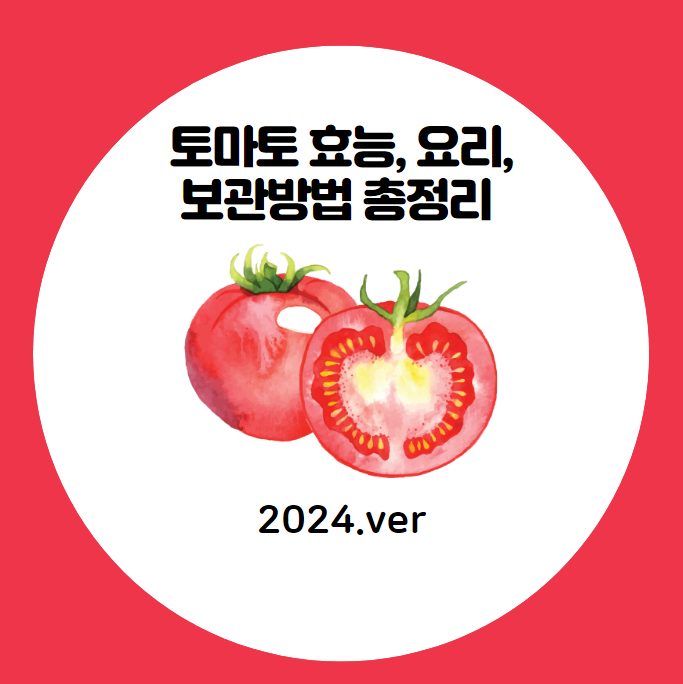 토마토 효능, 요리, 보관방법 총정리 (2024ver)
메인 키워드