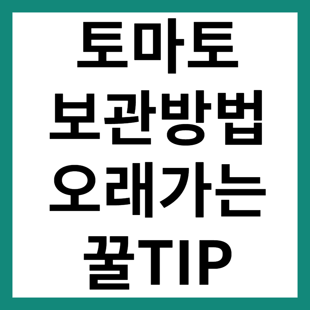 토마토 보관방법