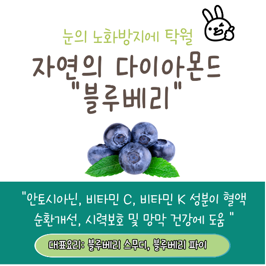 눈 건강에 좋은 블루베리