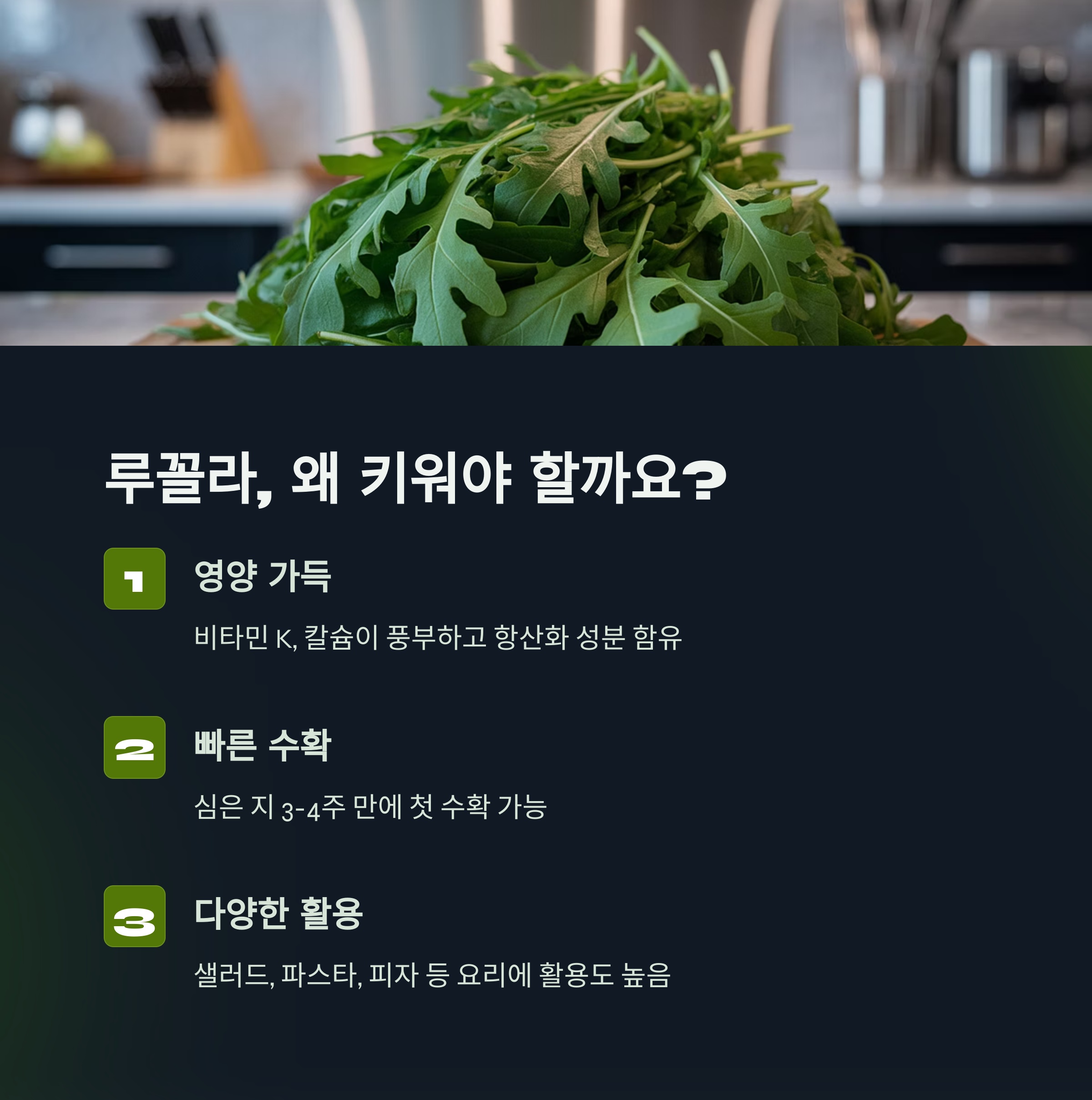 루꼴라, 왜 키워야 할까요? (매력 탐구) 🌱