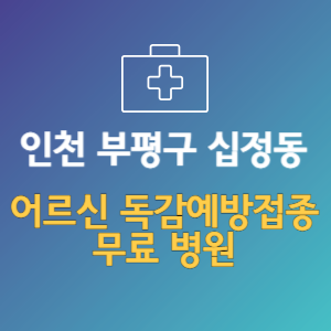 인천 부평구 십정동 노인 독감예방접종 무료 병원 (인플루엔자 무료 접종 대상 날짜)