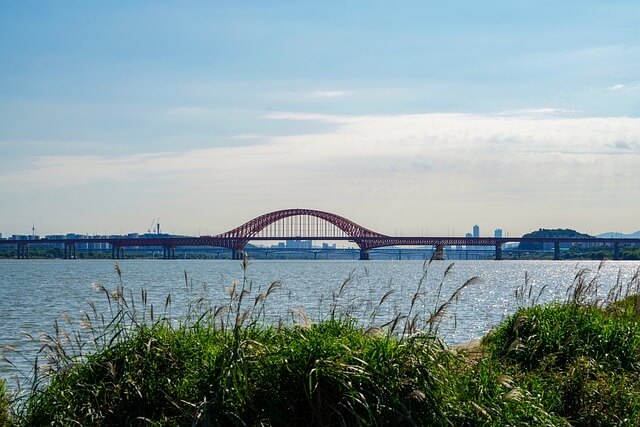 여의도 한강 공원과 억새풀