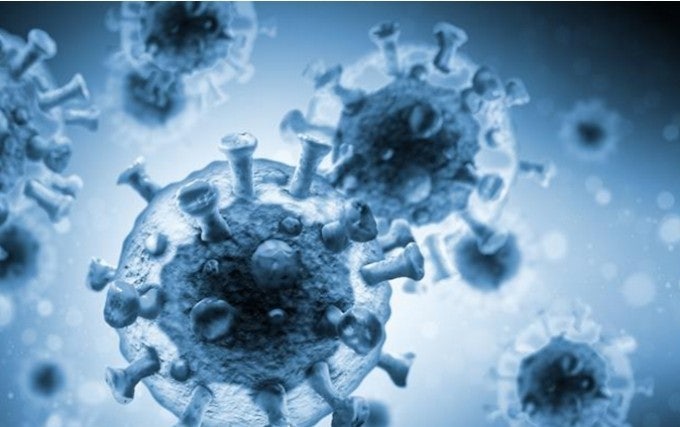 코로나 바이러스 사진