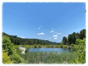 경기도잣향기푸른숲