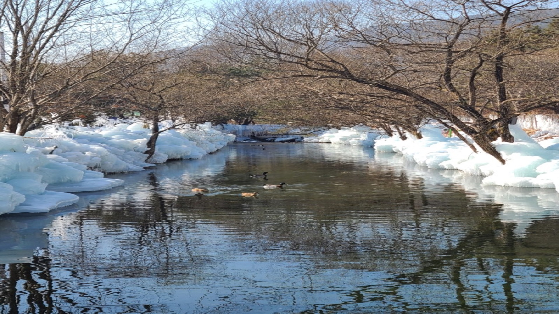 경주 국민 힐링 파크 사이트 바로가기