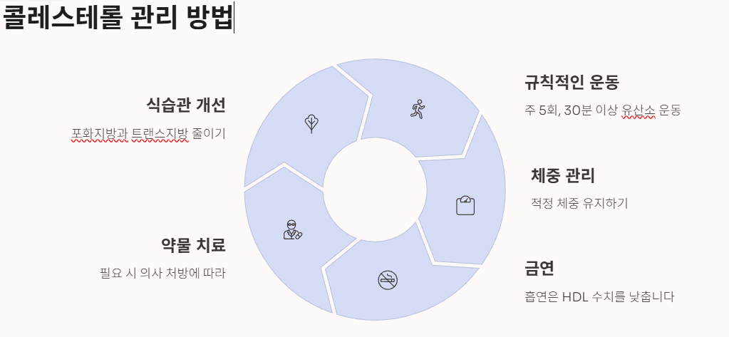 콜레스테롤 높으면 나타나는 증상