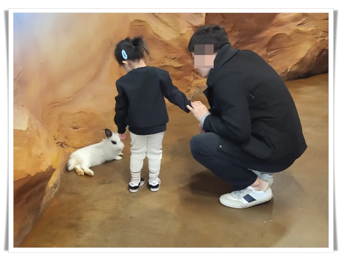 주렁주렁-토끼-관람