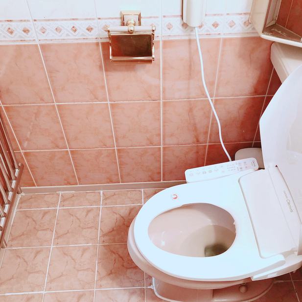 쿠쿠 비데 후기