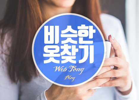 비슷한 옷 찾기