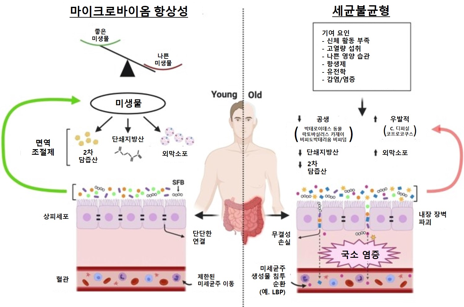마이크로바이옴