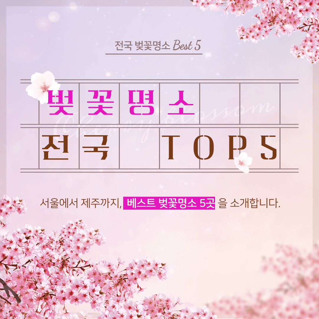 전국벚꽃 명소