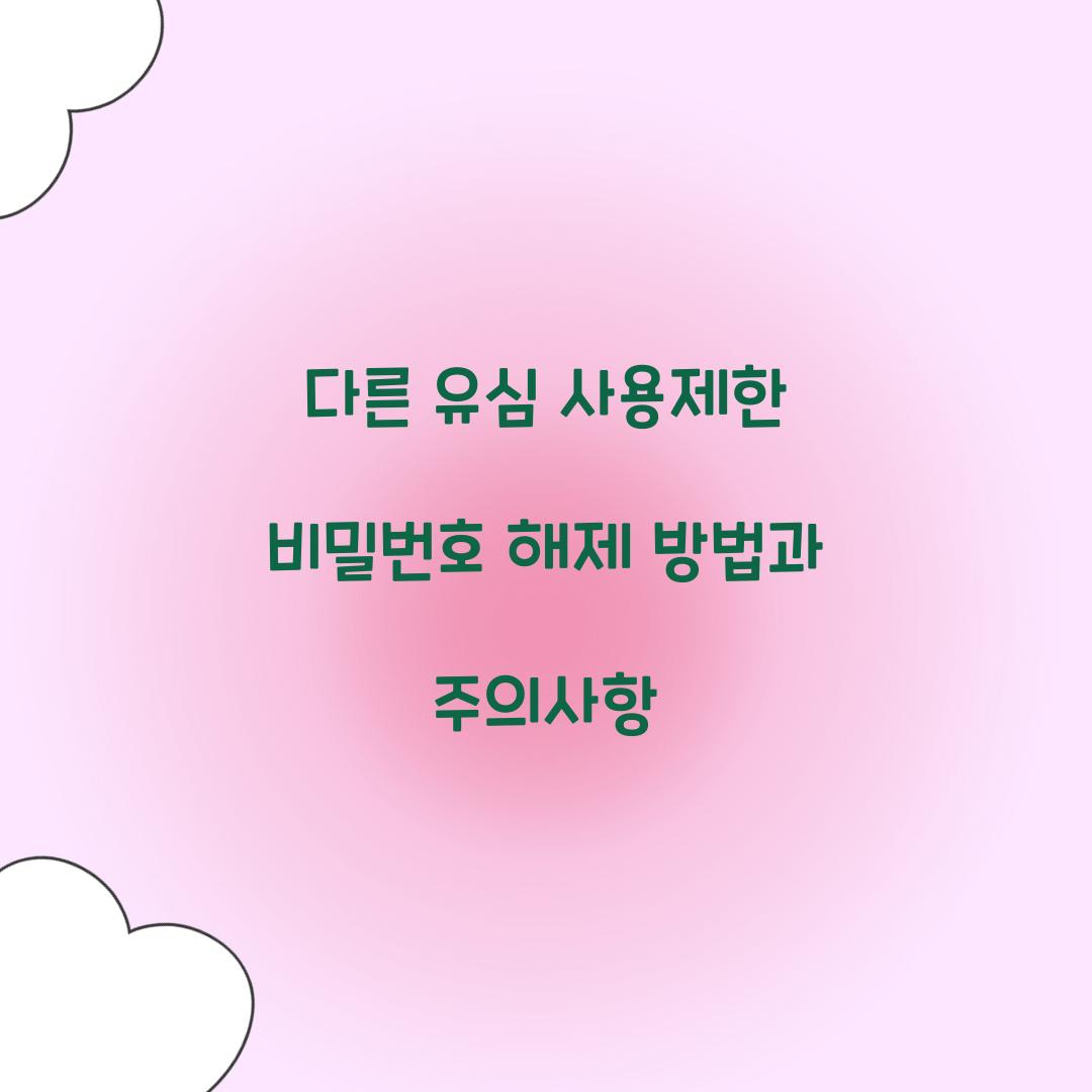 다른 유심 사용제한 비밀번호