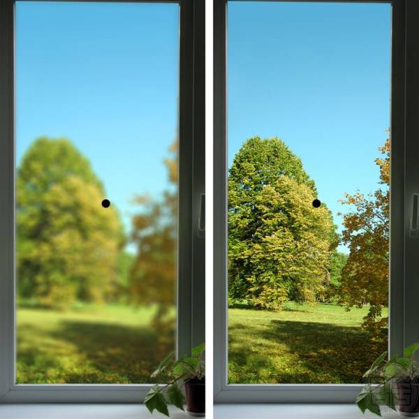 시력회복 운동 시력저하 예방 시력좋아지는법