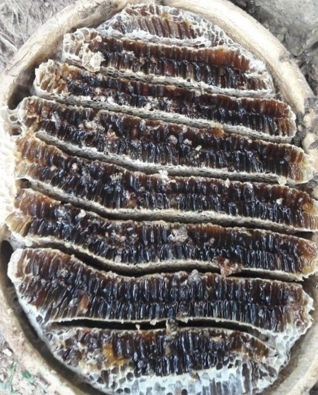 꿀의진수-토종꿀