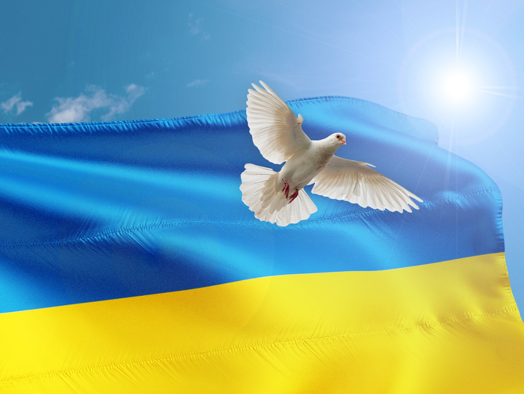 우크라이나 국기와 비둘기