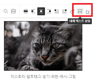 알트태그 넣는 방법, 예시그림