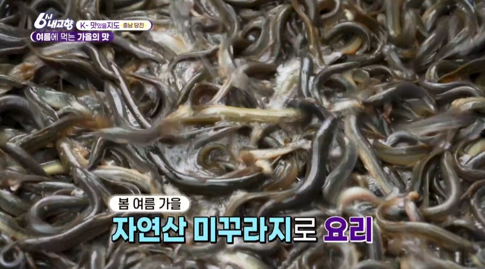 팔딱거리는 미꾸라지