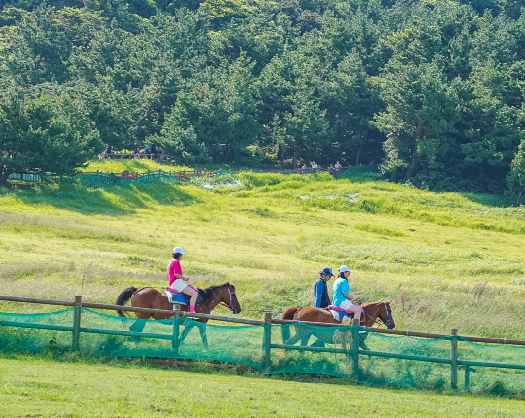 성산일출봉 승마체험