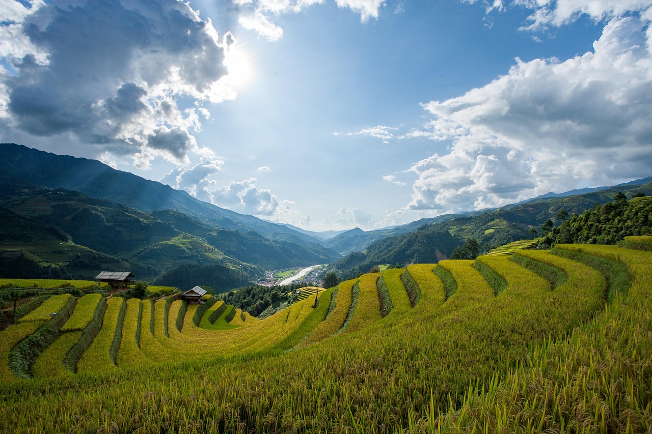 옌바이(Yen Bai) 계단식 논 (출처 Pixabay)
