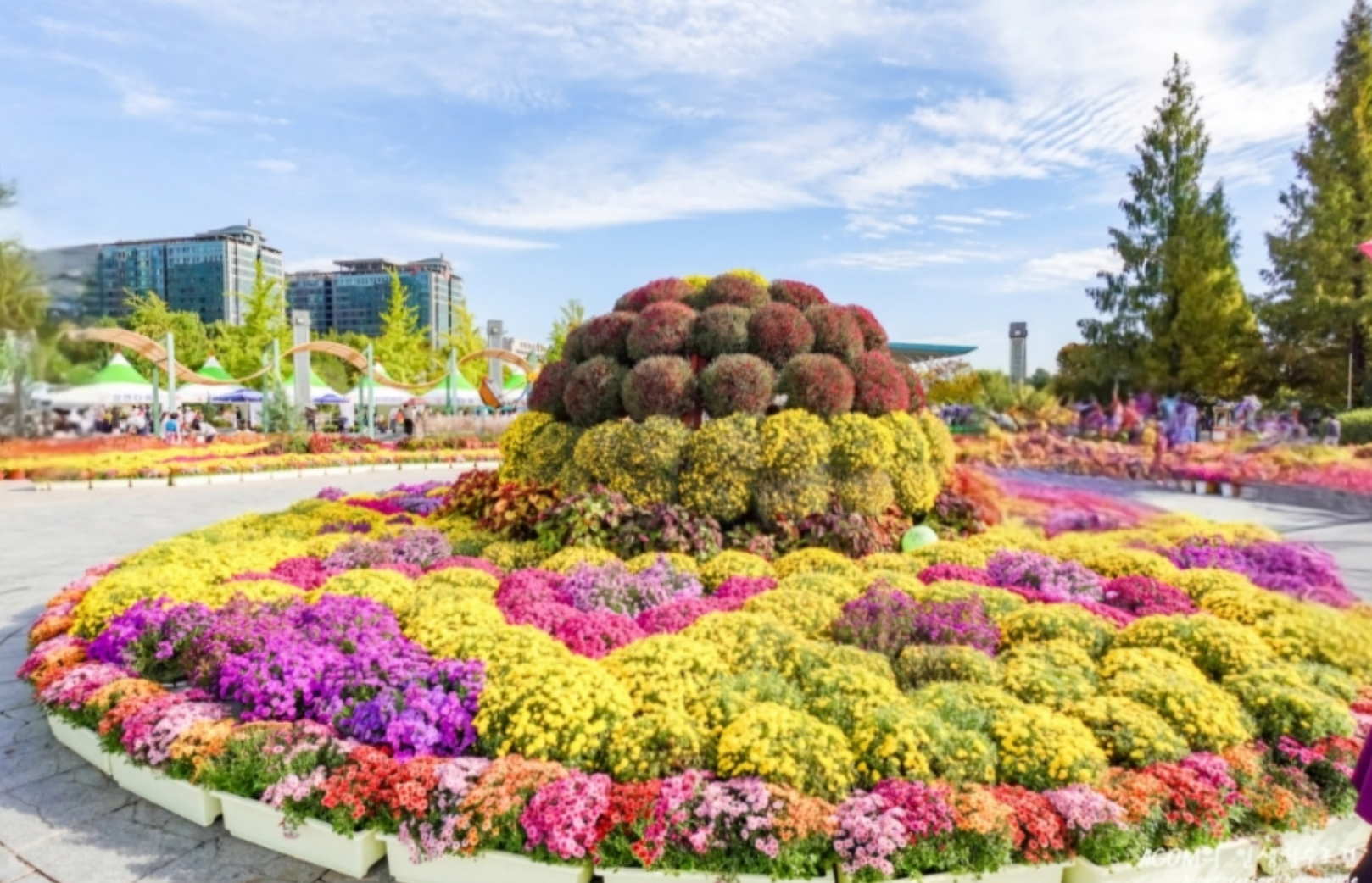 2025 고양 국제 꽃 박람회 모습