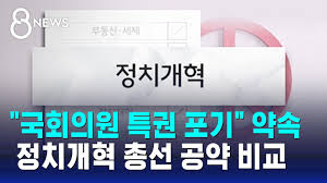 🌀 시리즈4. 정치개혁 공약, 진짜 변화는 가능할까?