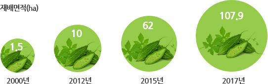 여주 재배면적 증가