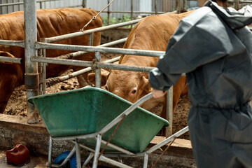 희망리턴패키지 원스톱폐업지원 지원자격 신청방법 지원금액