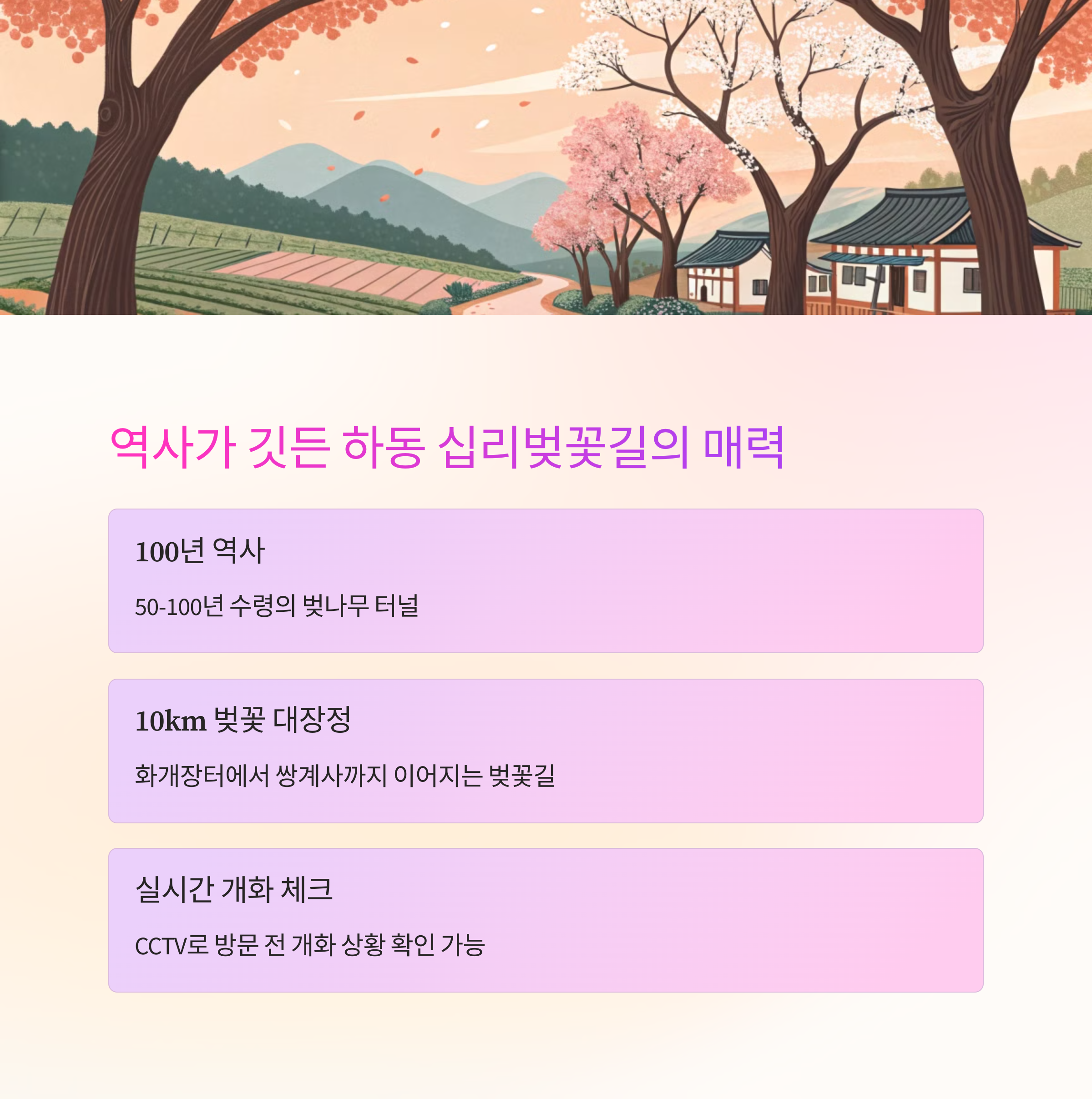 🌸 하동 십리벚꽃길