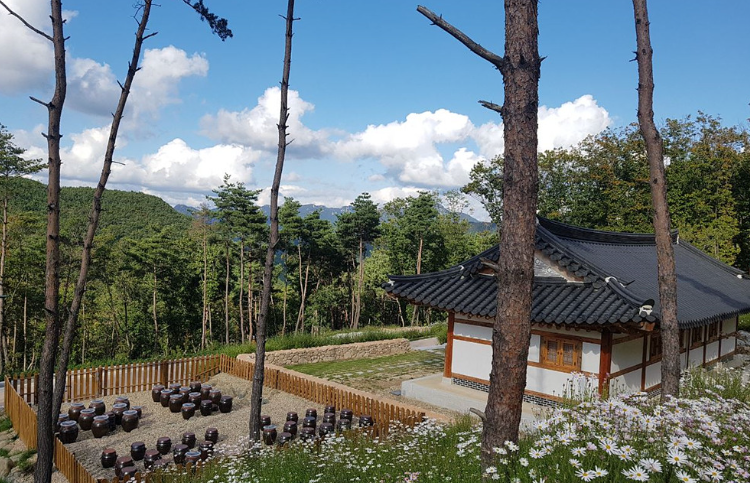 속리산 숲체험휴양마을