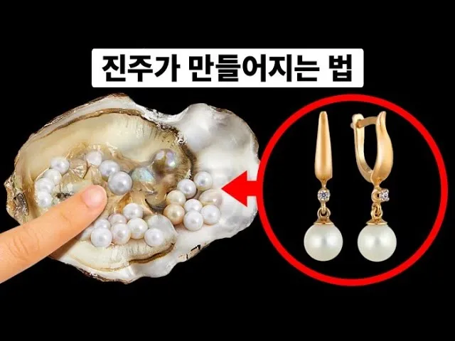 진주 가볼만한곳 베스트10 여행 당일치기 관광명소_4