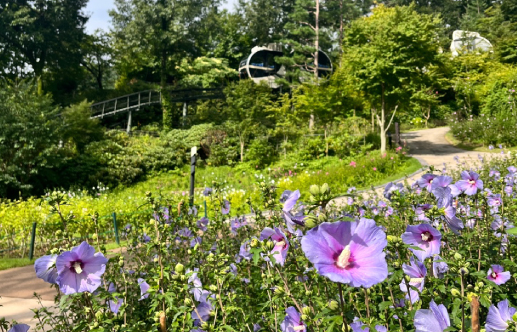 화담숲 예약, 모노레일 예약 (온라인 간편예약)