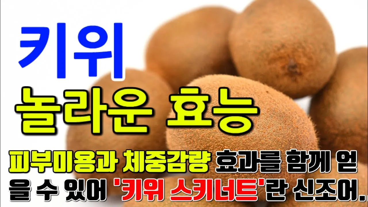 키위 효능과 부작용 비타민 풍부한 과일 정보_3