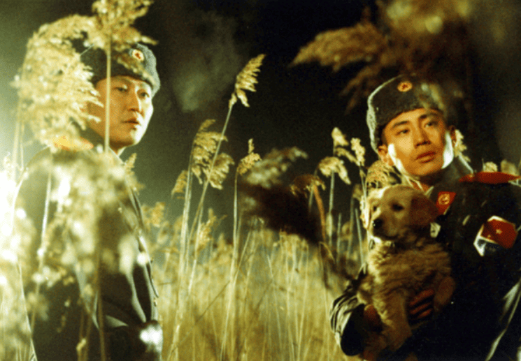 공동경비구역 JSA – 분단을 넘어선 우정과 비극