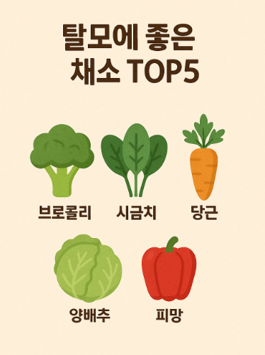 탈모에 좋은 채소 TOP5