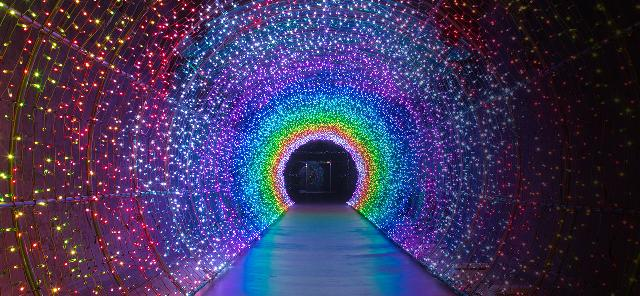 수양개 빛터널 / 출처=단양군