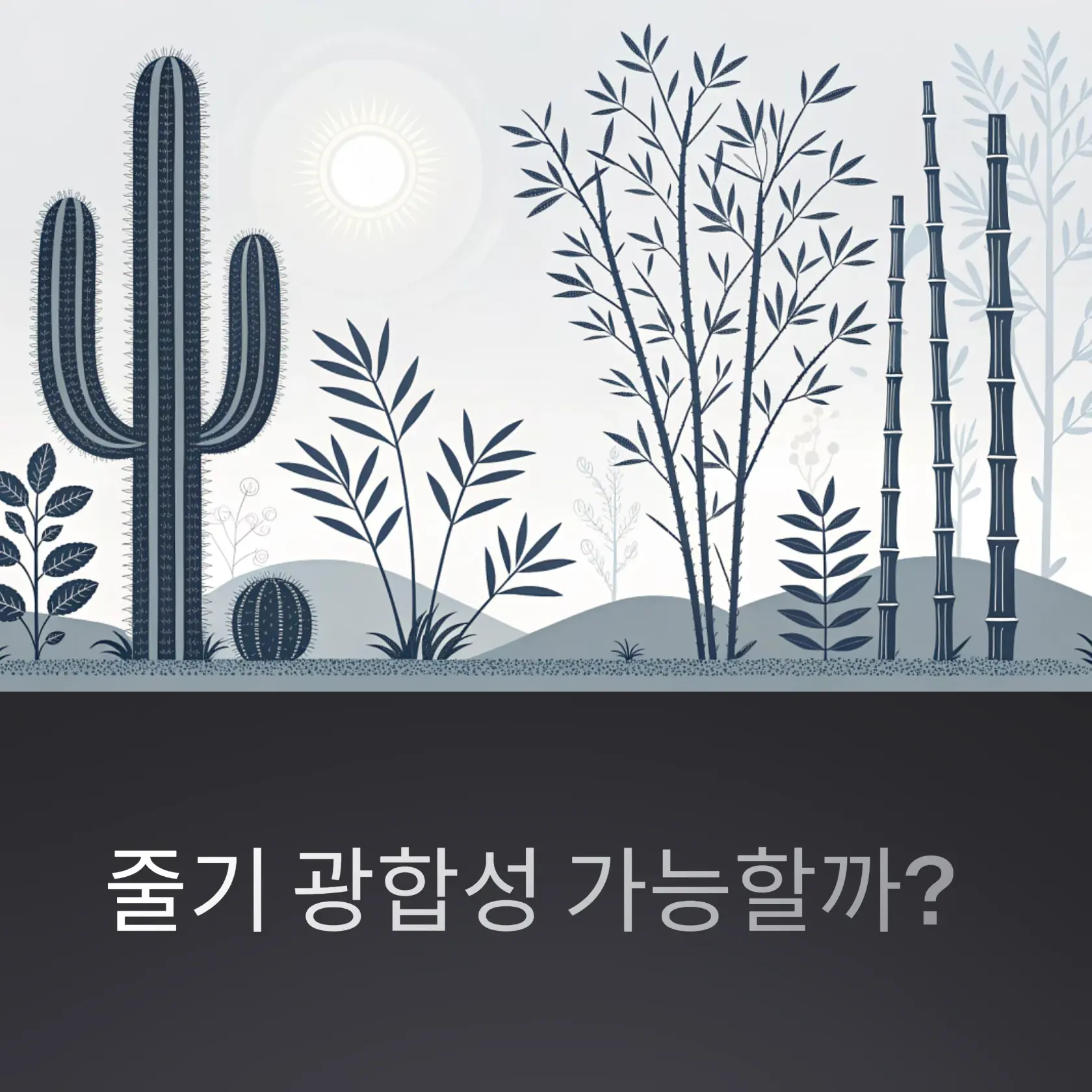 과학적 원리와 식물 생존 전략-줄기 광합성