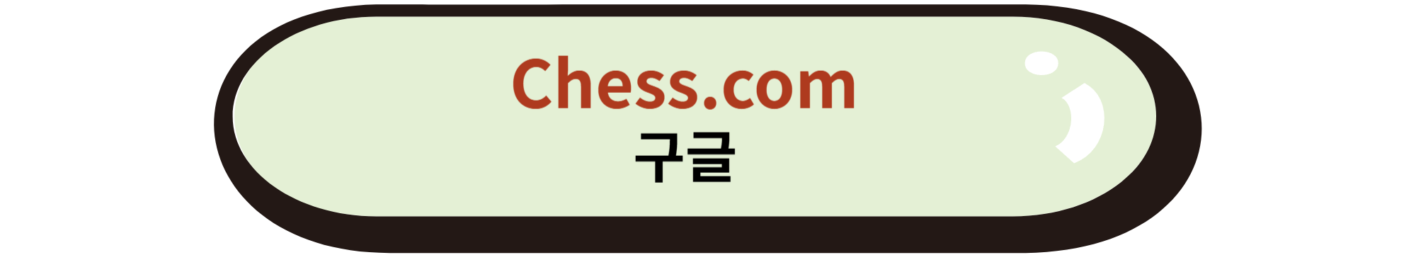 Chess.com 구글