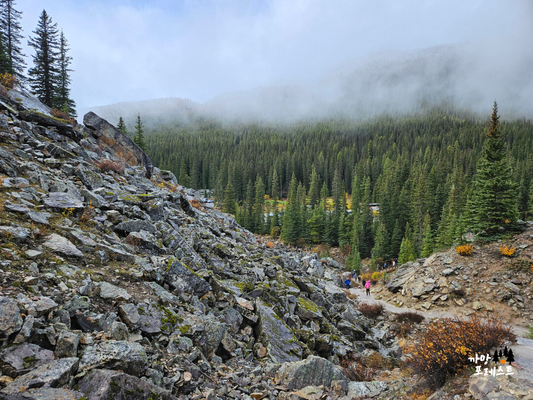 캐나다 모레인 호수 전망대 가는길